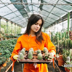 peluang usaha agribisnis