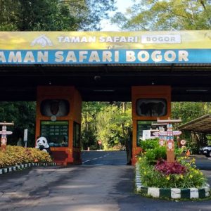 wisata taman safari bogor