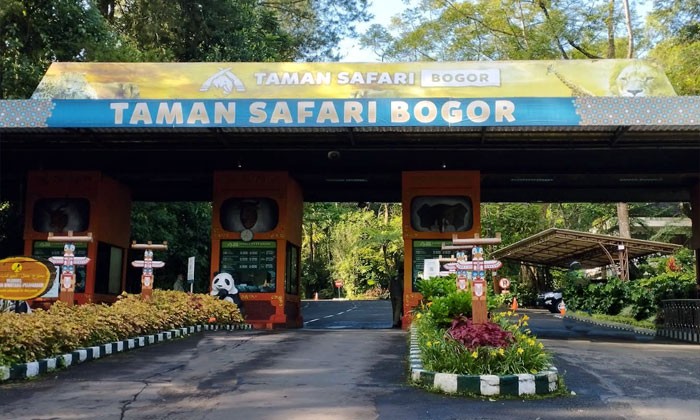 wisata taman safari bogor